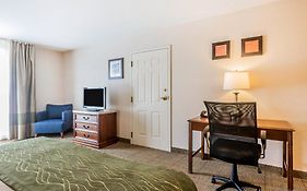 Comfort Suites South Burlington